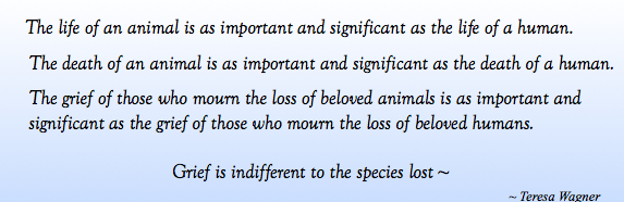 TW quote-Animals as important